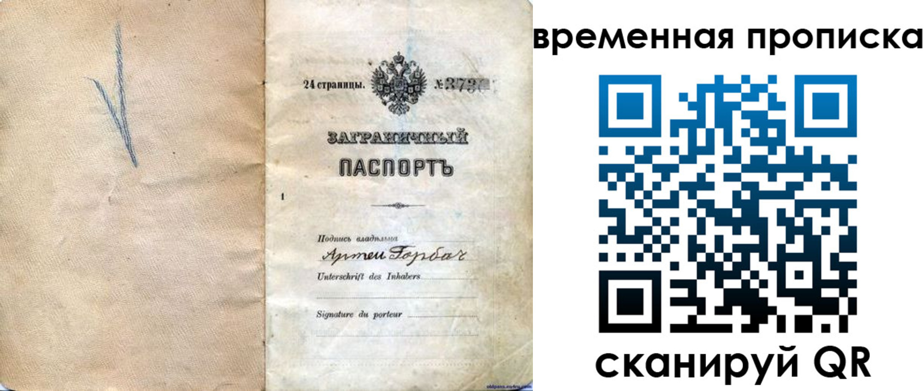 прописка поиск в Тайге